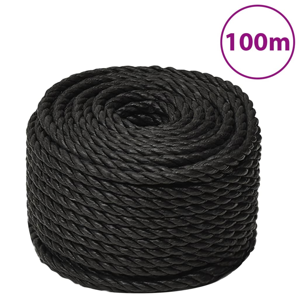 vidaXL Work Rope Black 10 mm 100 m Polypropylene