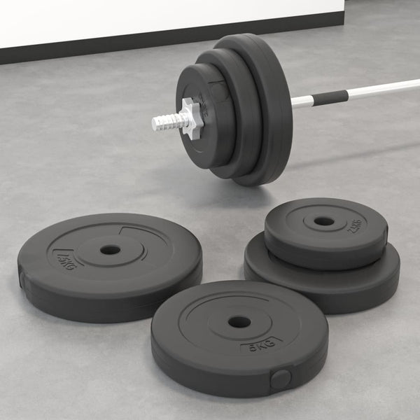 vidaXL Weight Plates 6 pcs 30 kg Cement