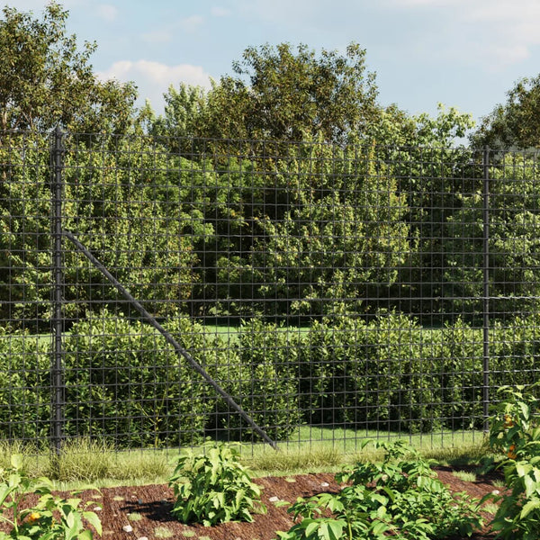 vidaXL Wire Mesh Fence Anthracite 1.4x10 m Galvanised Steel